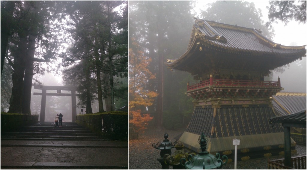 Collage Nikko 1